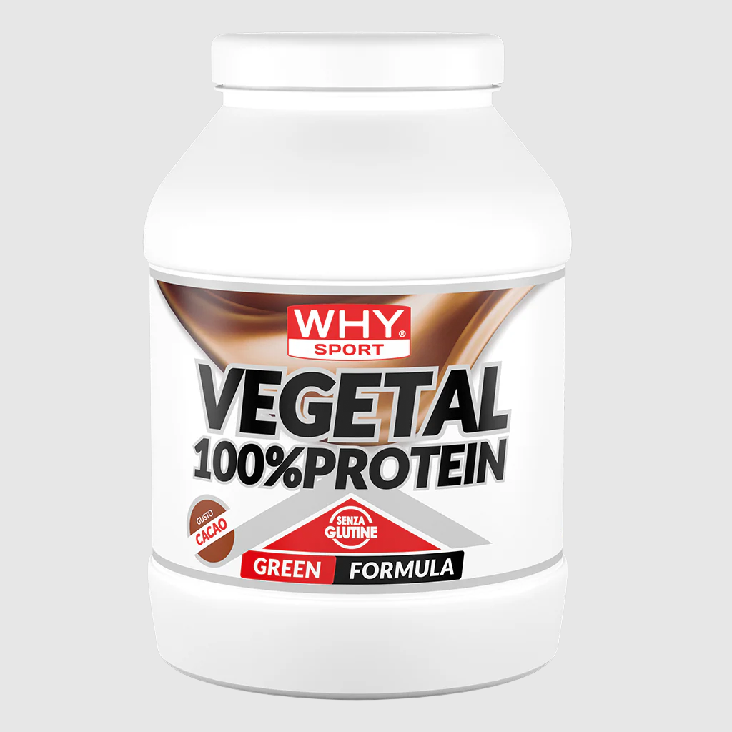 VEGETABLE 100% PROTEIN 