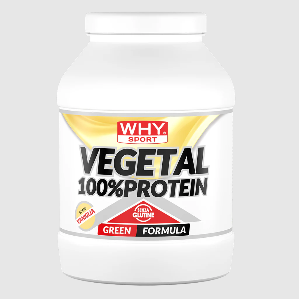 VEGETABLE 100% PROTEIN 